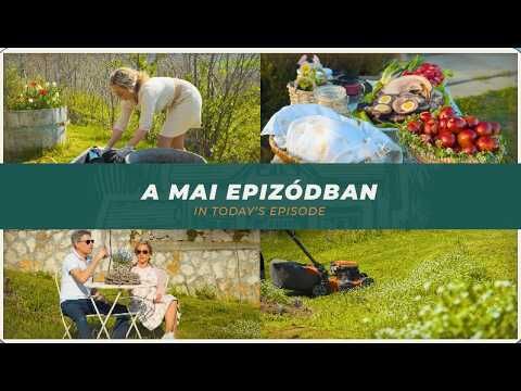 Tenkes - Birtok 3.epizód | Húsvét